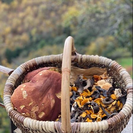 Domaine Le Verdier Saint-Michel-de-Dèze エクステリア 写真