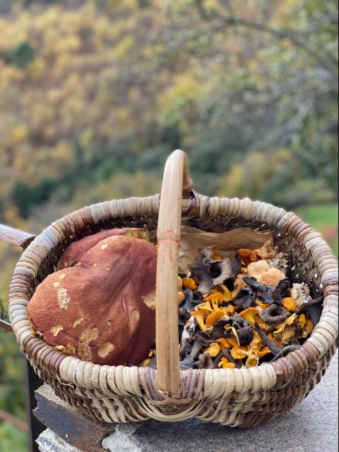 Domaine Le Verdier Saint-Michel-de-Dèze エクステリア 写真